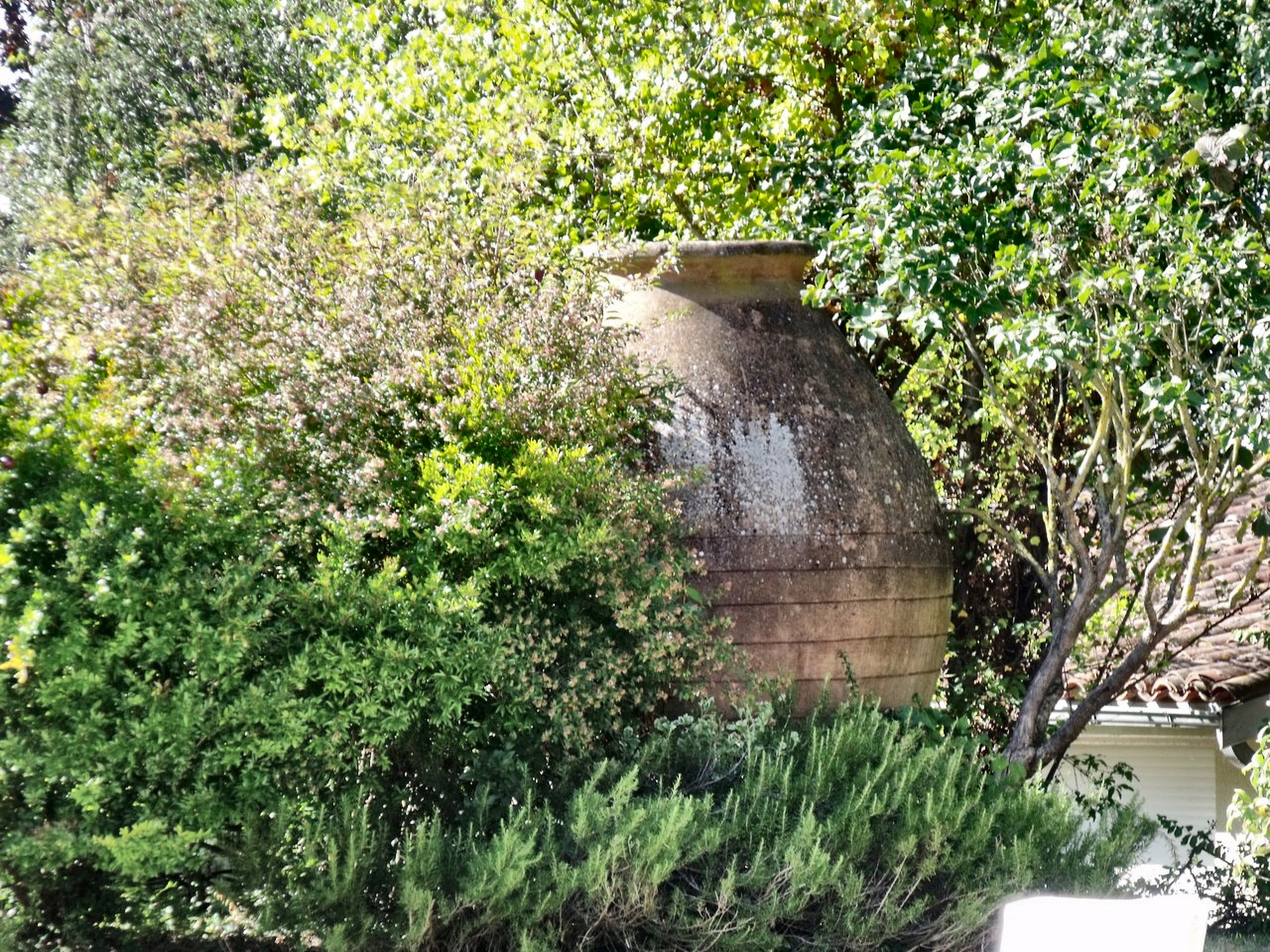 Petit pont dans le parc du Bigourdan
