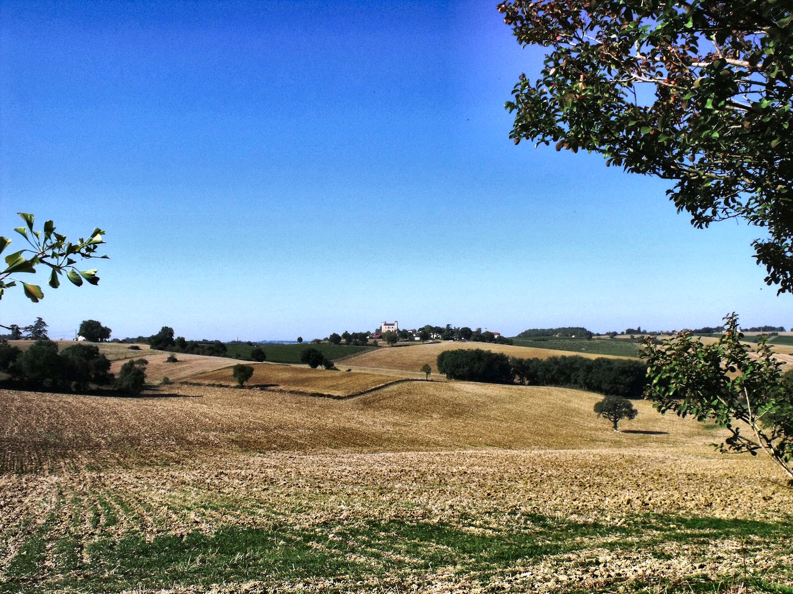 Paysage vallonné du Gers